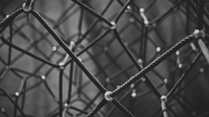 A importância das redes distribuídas na comunicação sócio-corporativa